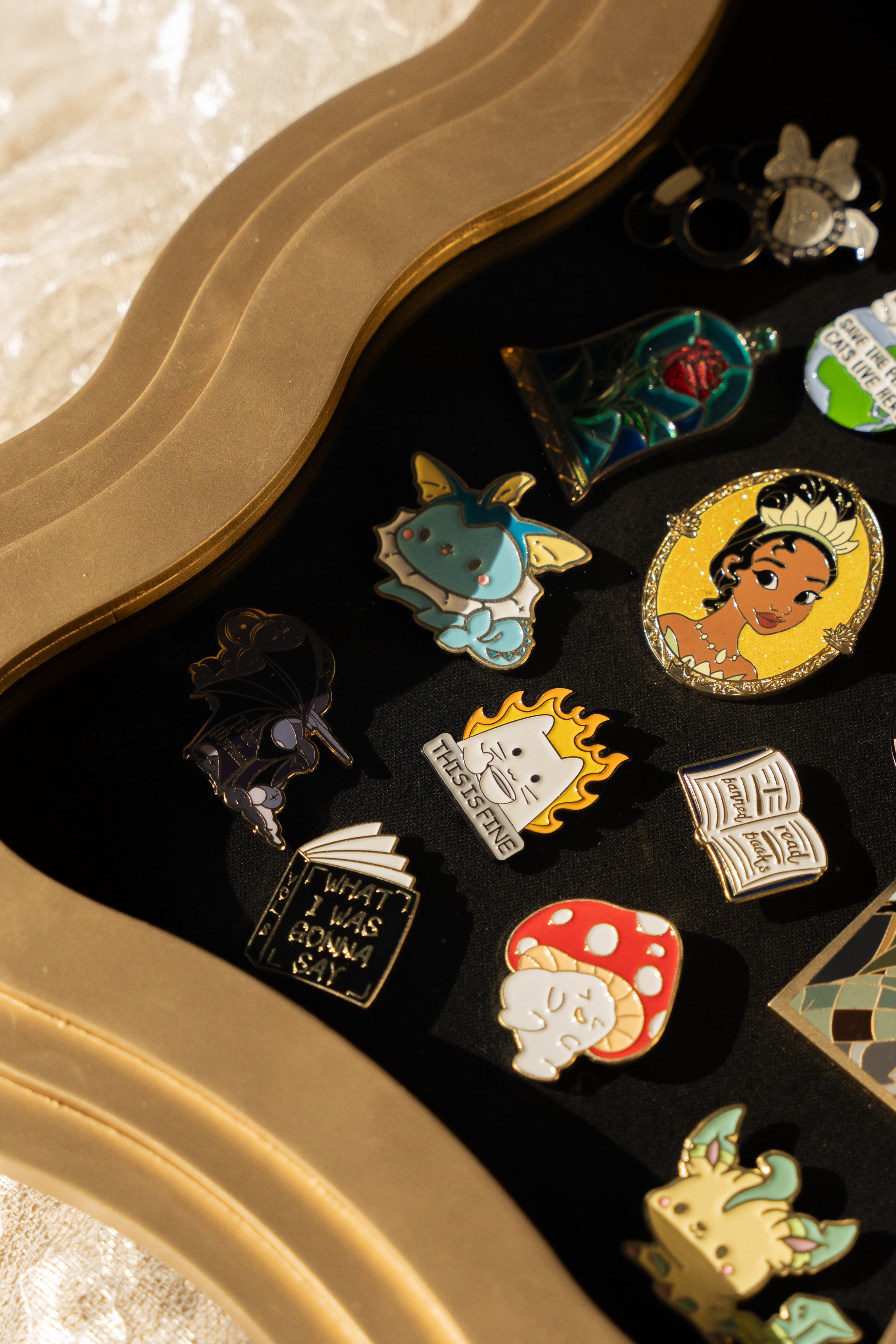 The Gilded Shadow Box Pinboard